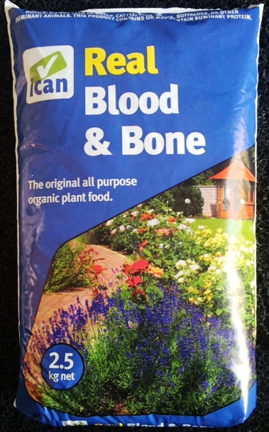 Ican Blood and Bone