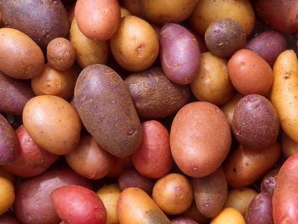 Potatoes3
