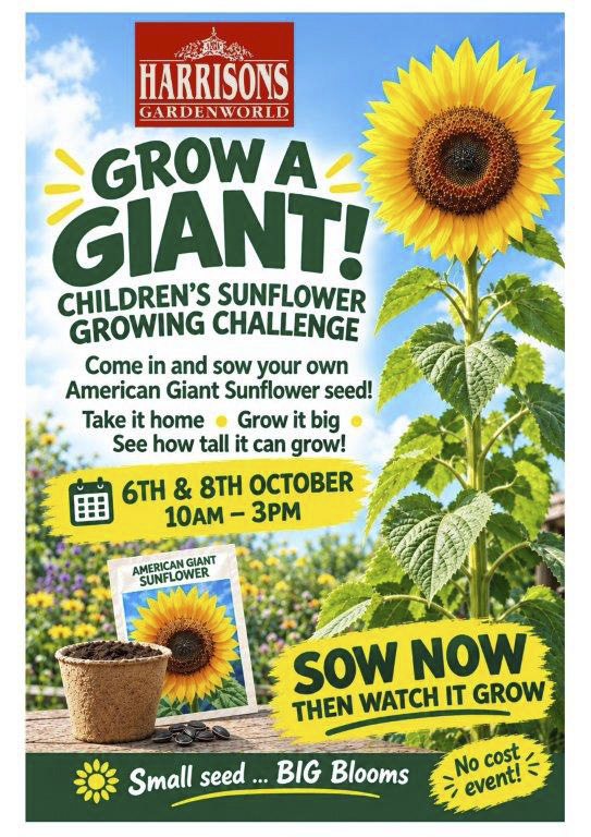 Sunflower Seeding Poster edited