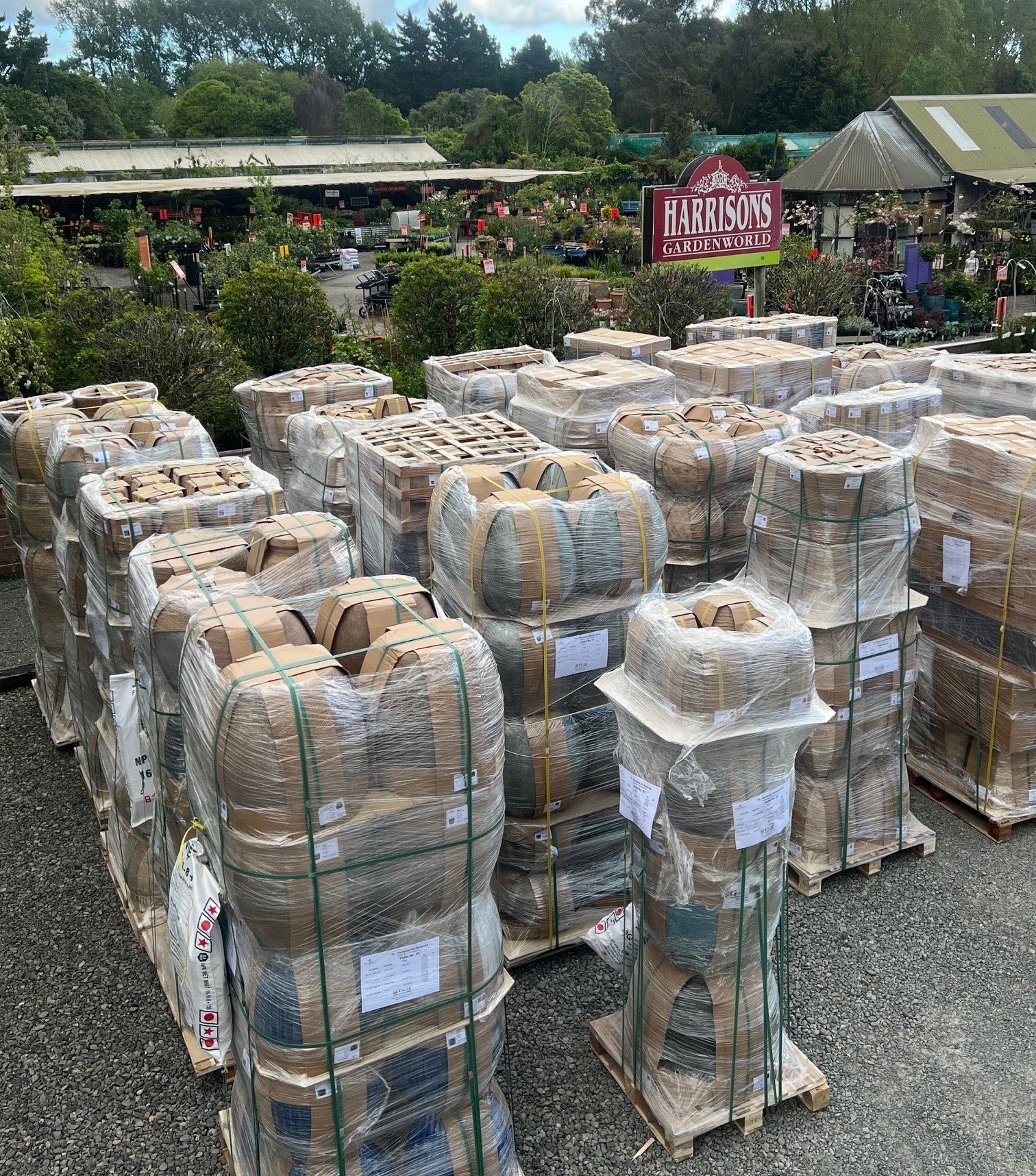 container pots at waikanae