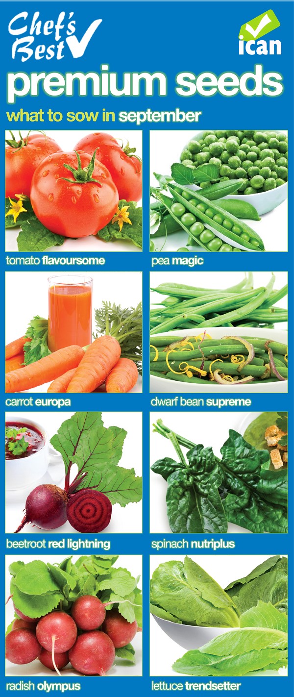ican seeds september sowing