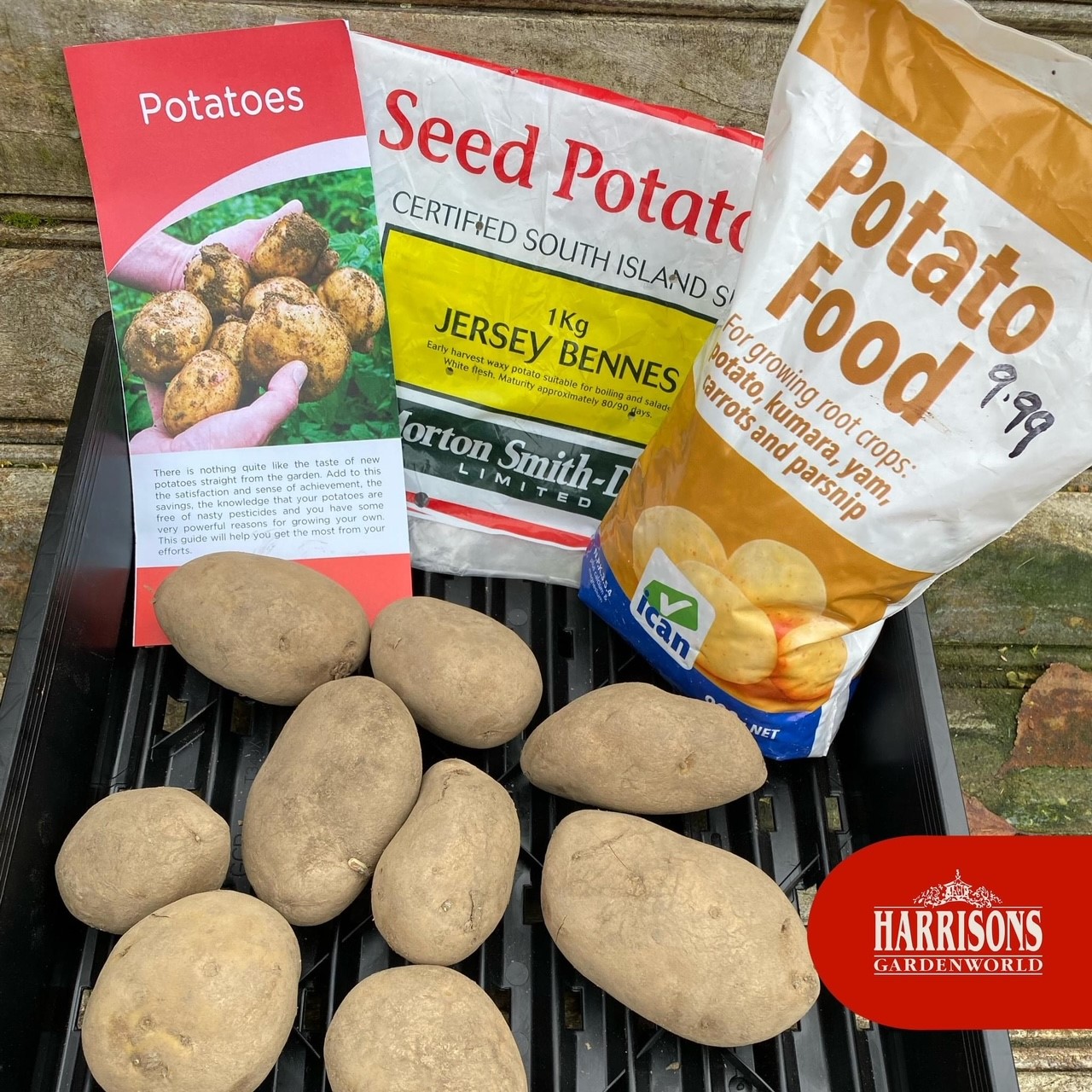 potato guide and food